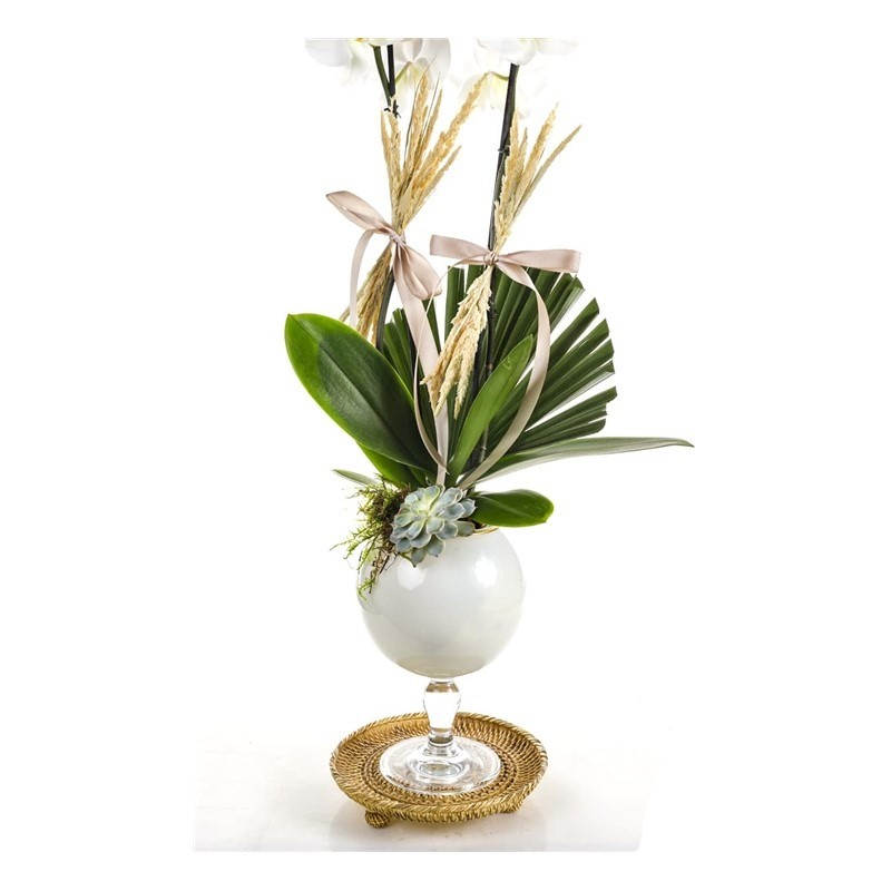 White Noble Orchid