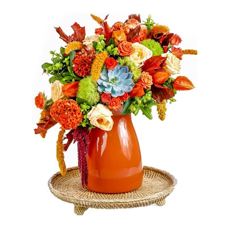 Candy Orange Cream