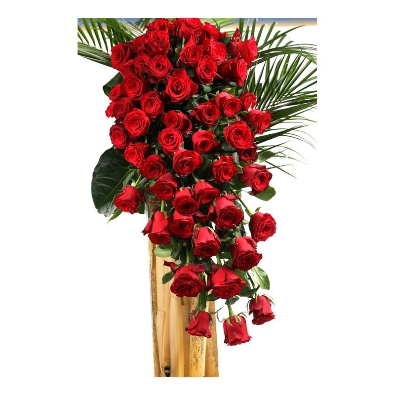 First Kiss & Long Arrangement