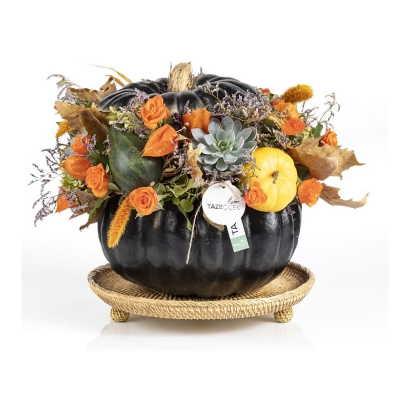 Pumpkin İnfinite