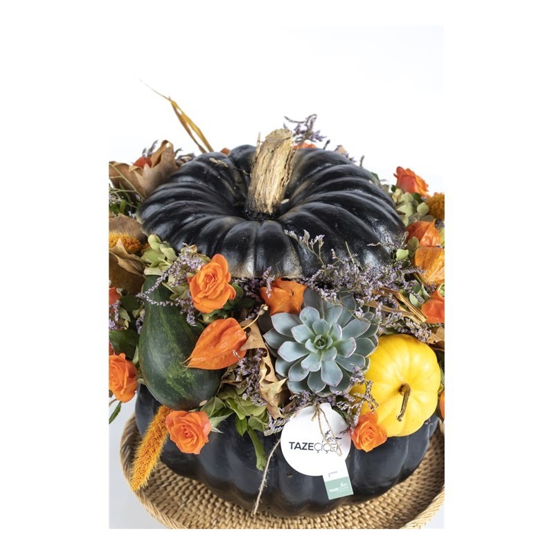 Pumpkin İnfinite
