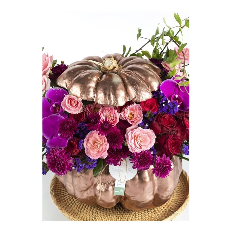 Pumpkin Purple Hope