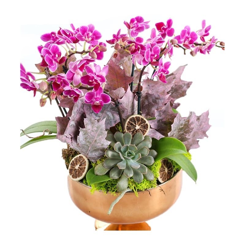 Purple Orchid Gold Vase