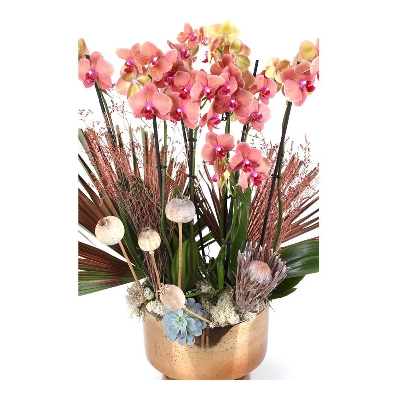 Luxury Orange Orchid Gold Vase