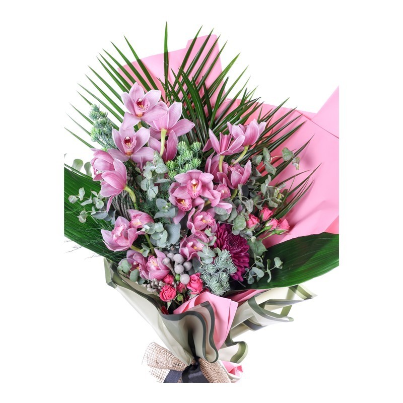 Pastel Orchid Grace Premium