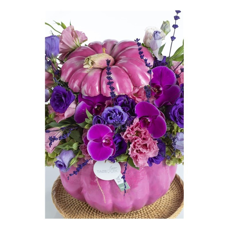 Pumpkin Chirping Birds 