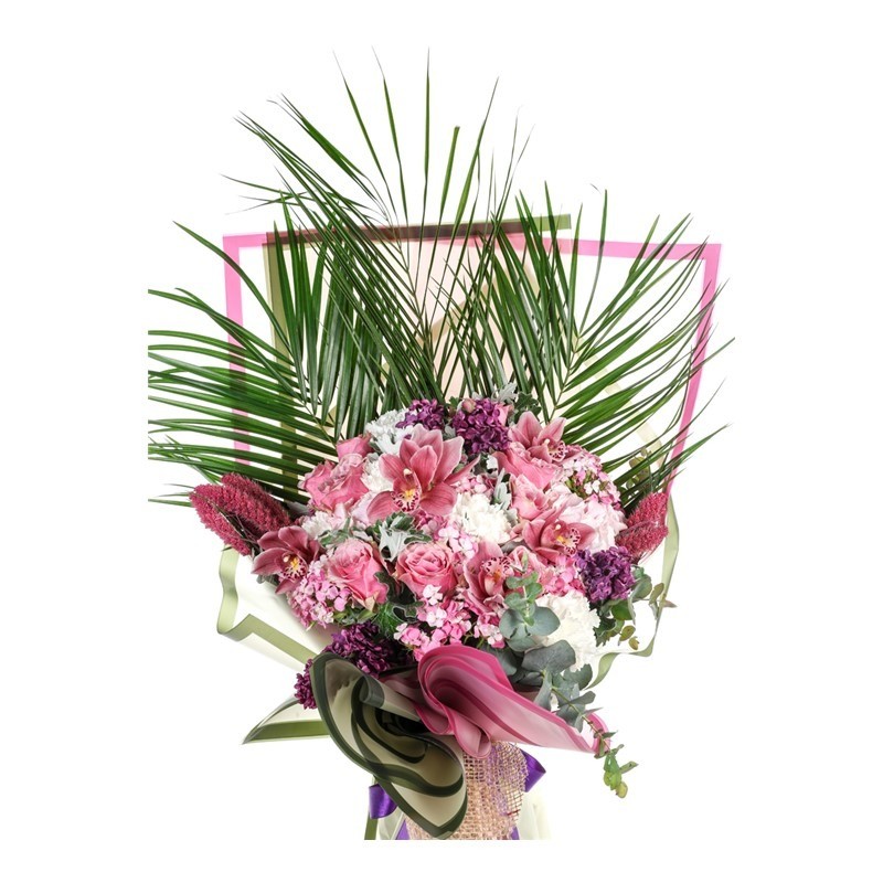 Tropical Romance